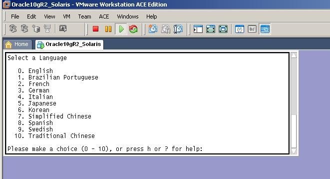 How To Install Oracle 10Gr2 On Solaris 10 Support